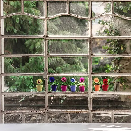 I Tigli - By Myhomeincomo Brunate