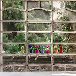 I Tigli - By Myhomeincomo بروناتي